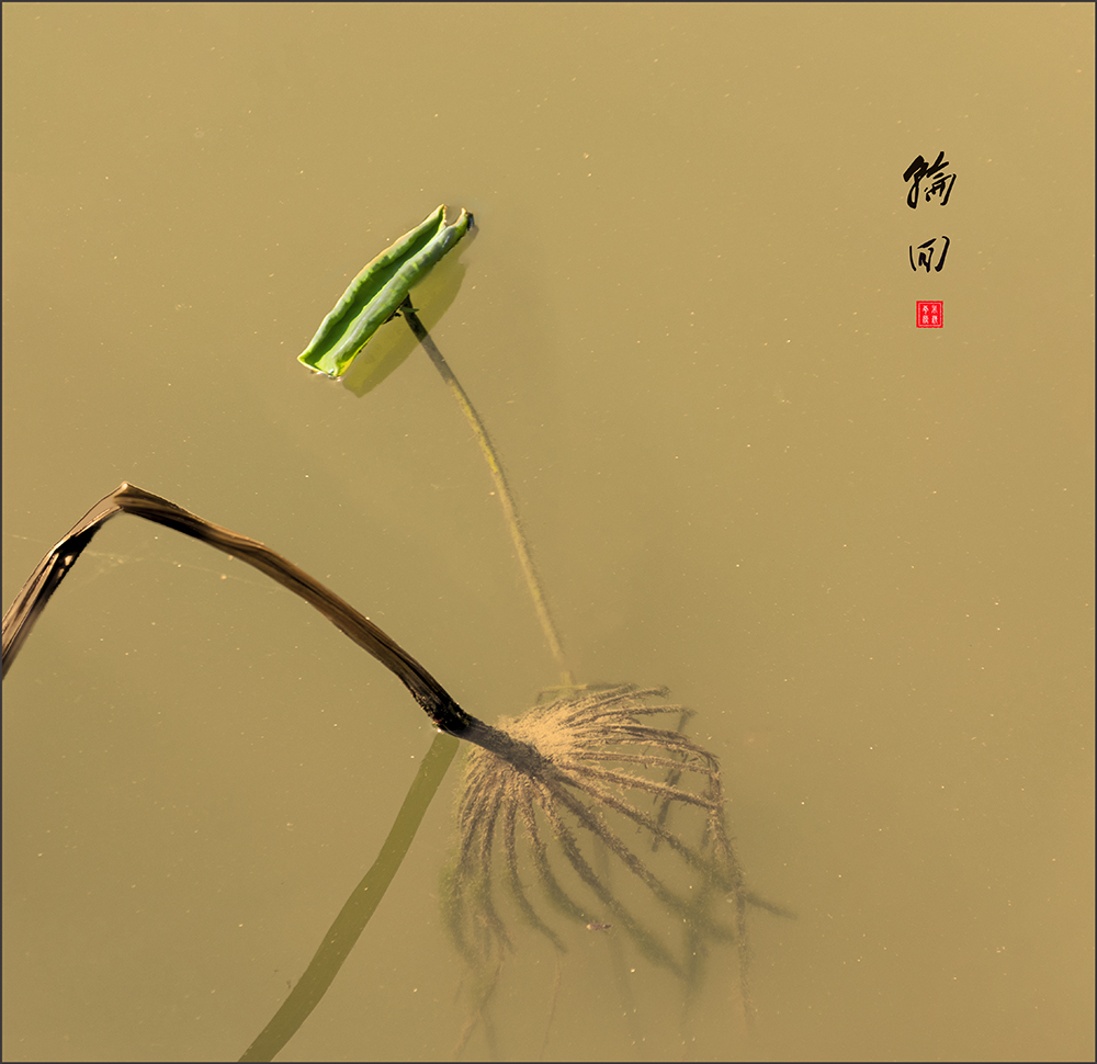 百年老酒坊