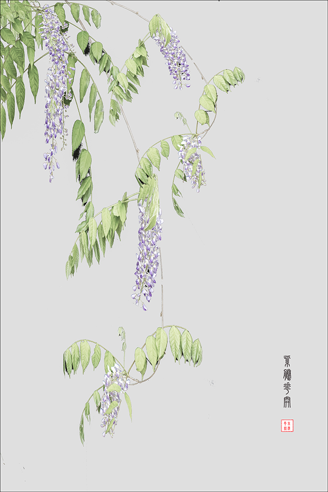 百年老酒坊