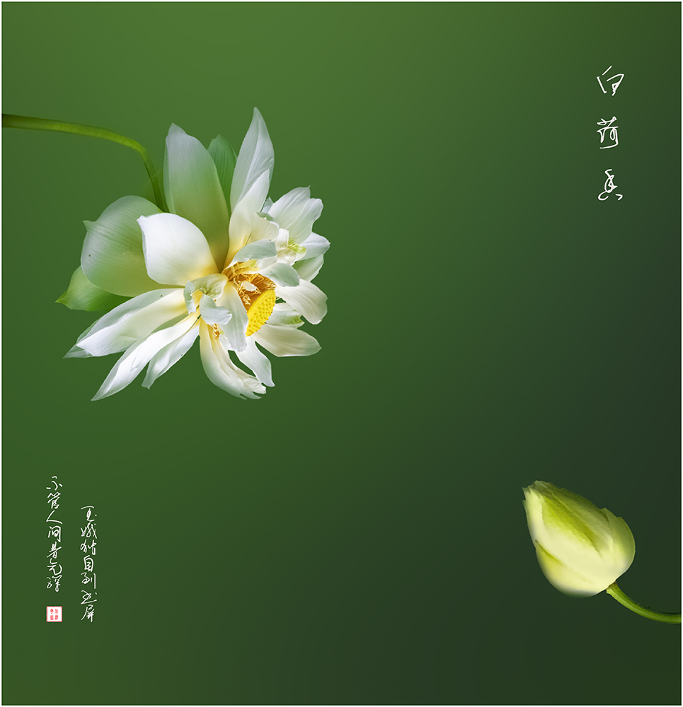 百年老酒坊