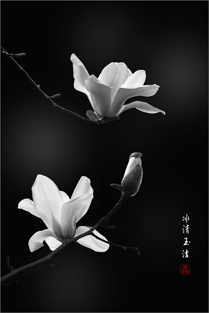 百年老酒坊