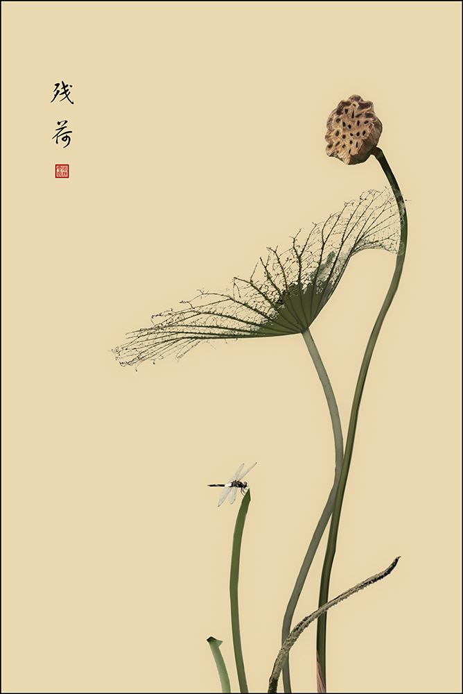 百年老酒坊