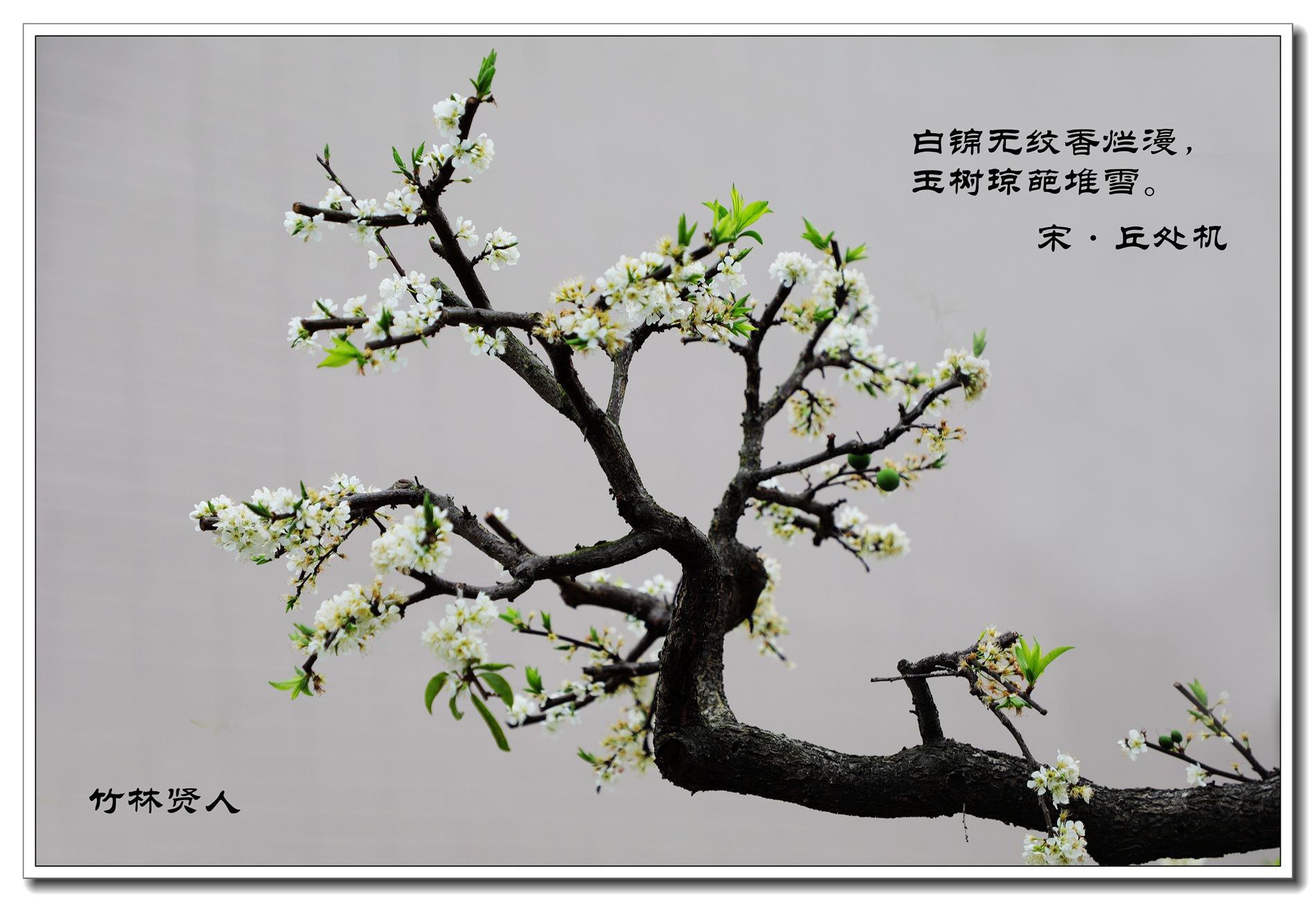 百年老酒坊