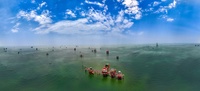 《沐海油城》