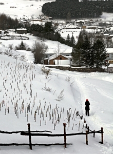 雪村行