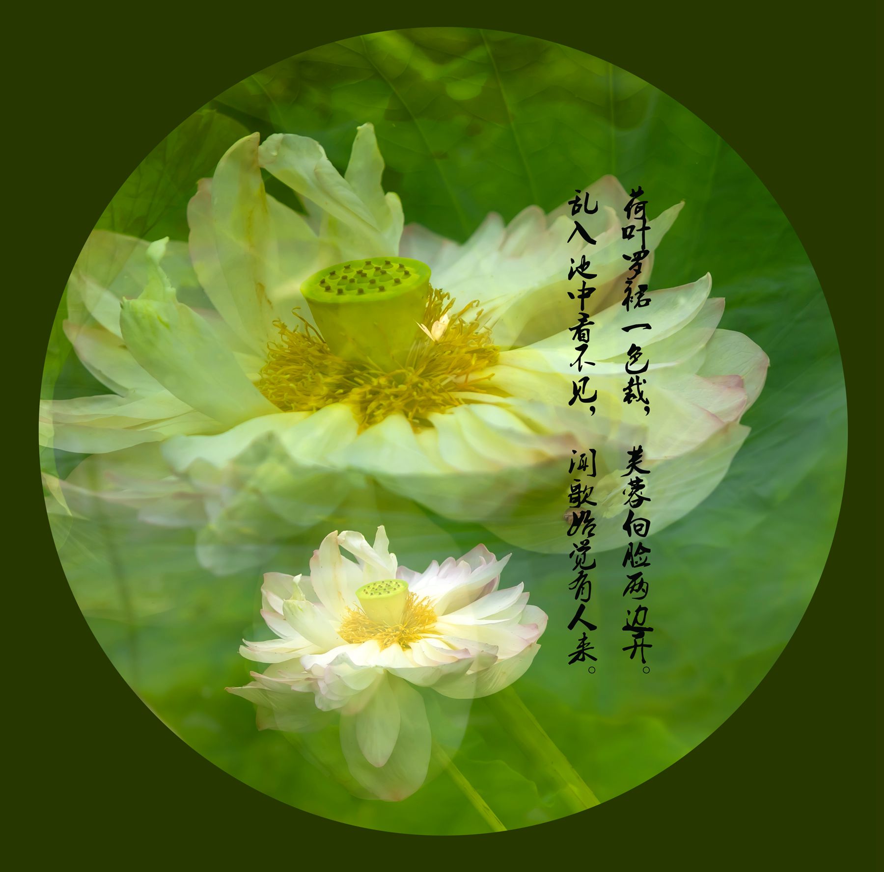 百年老酒坊