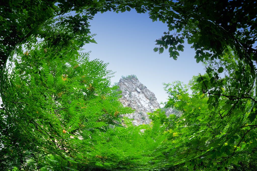 百年老酒坊