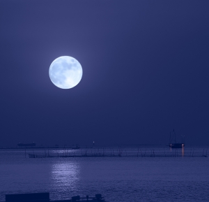 《  夜 泊  》