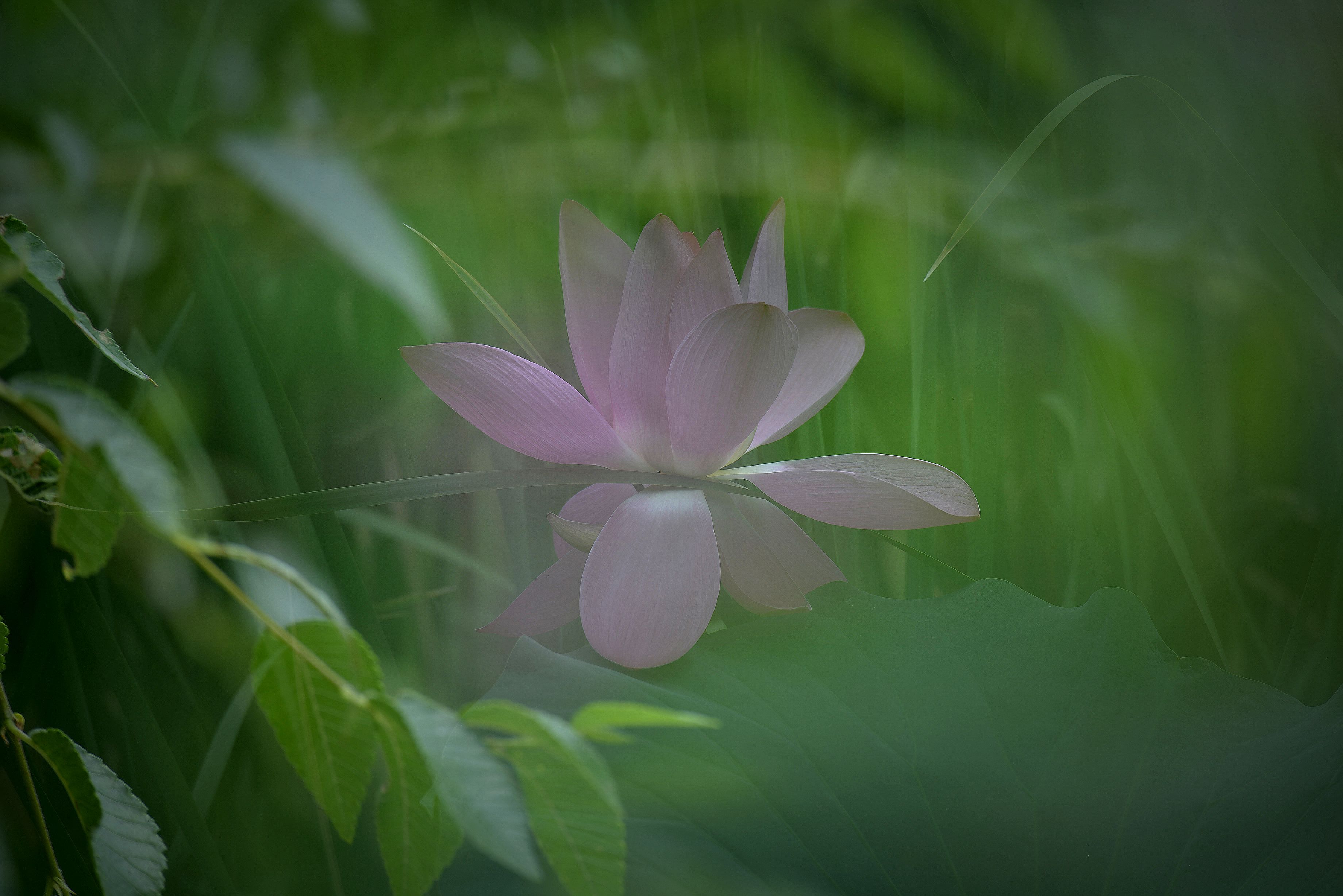 百年老酒坊