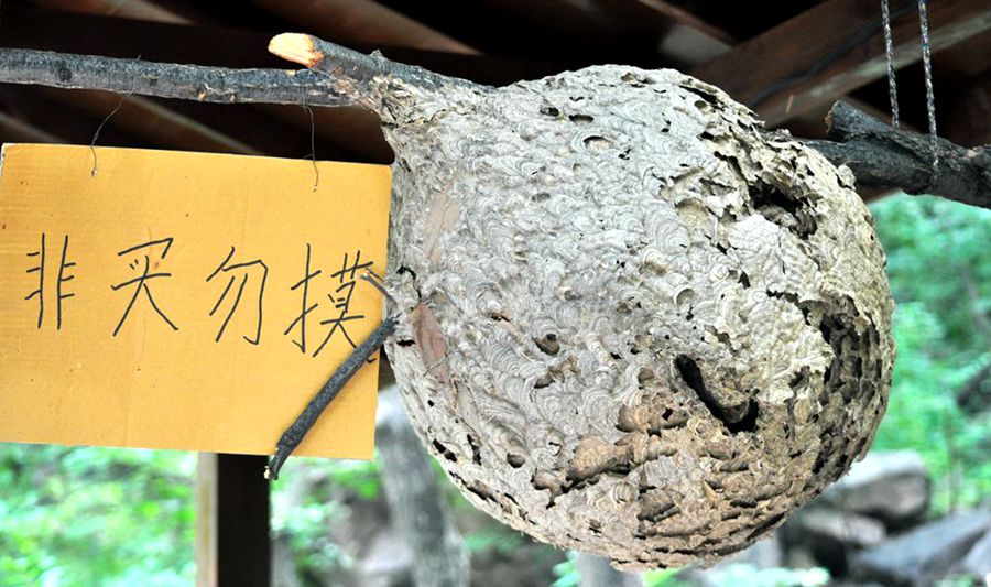 百年老酒坊