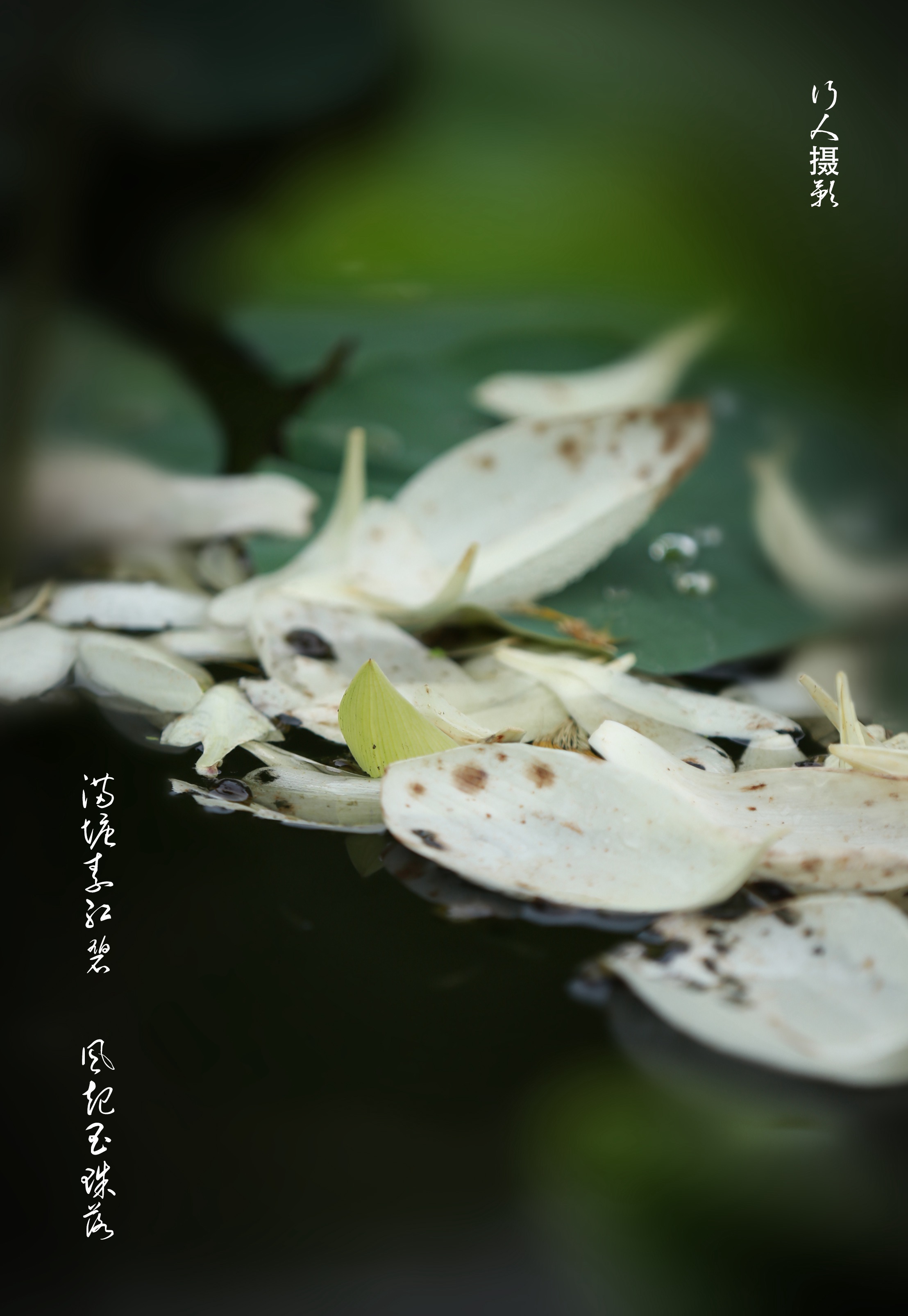 百年老酒坊