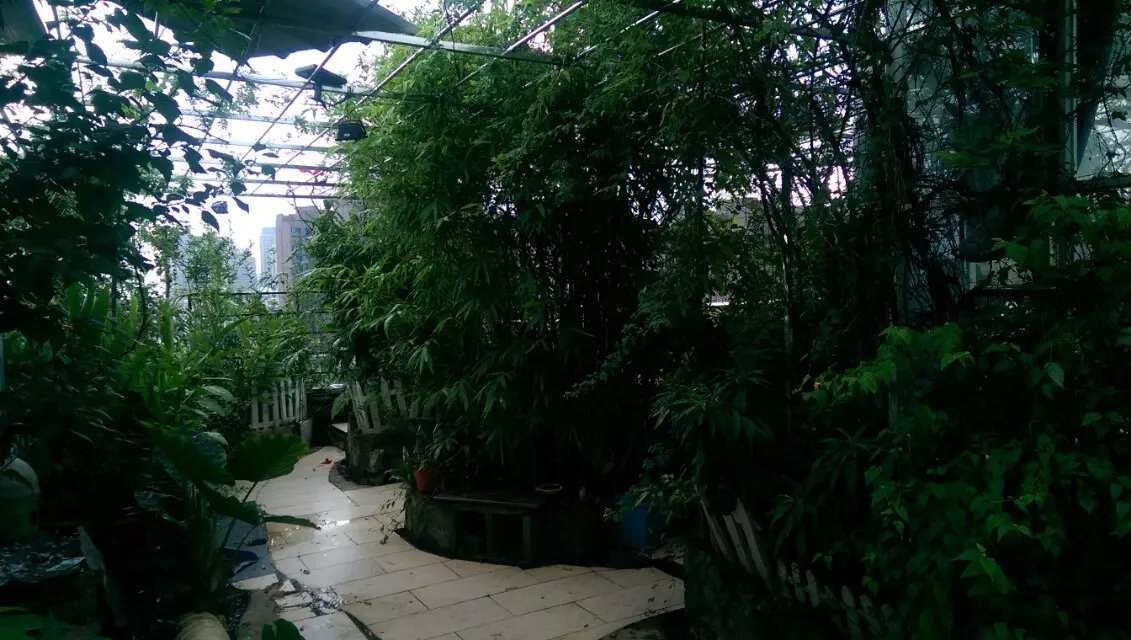 百年老酒坊