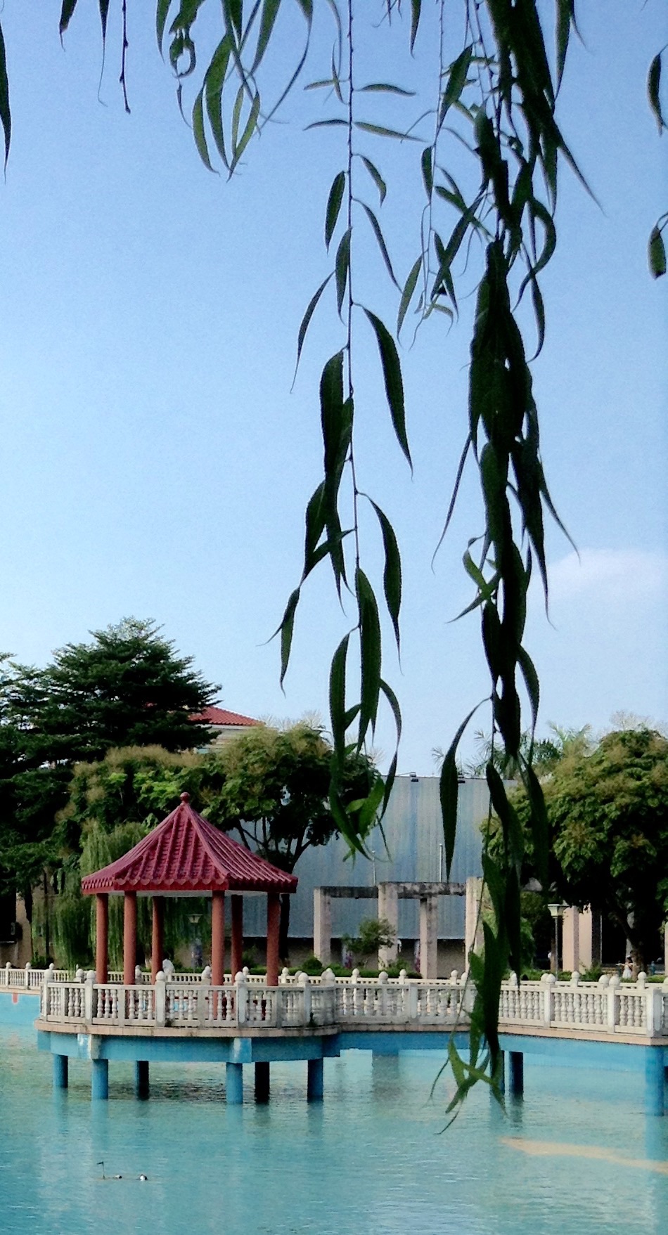 百年老酒坊