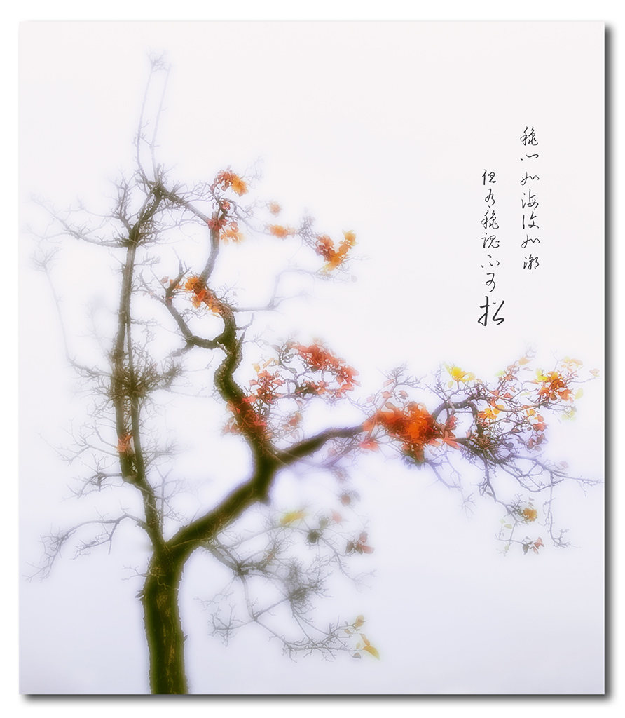 百年老酒坊
