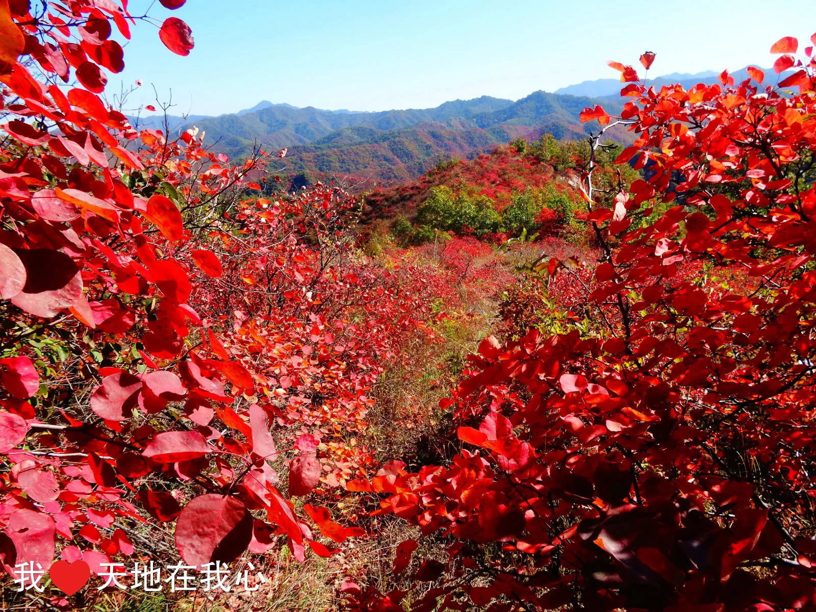 百年老酒坊