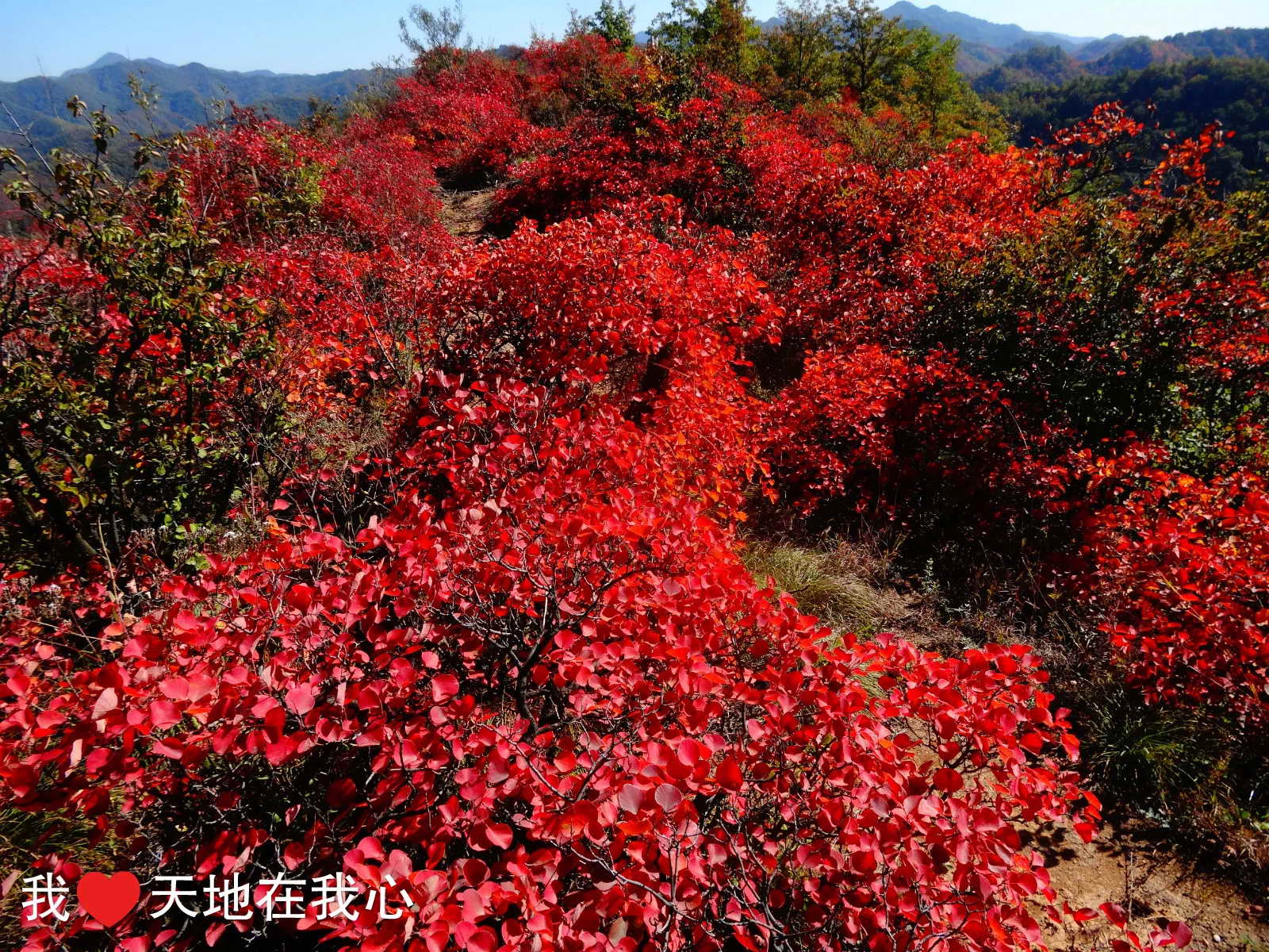 百年老酒坊