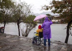 雨中情