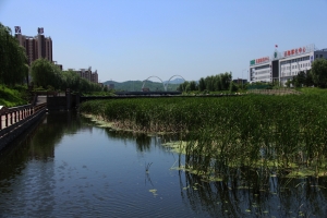 中国药都