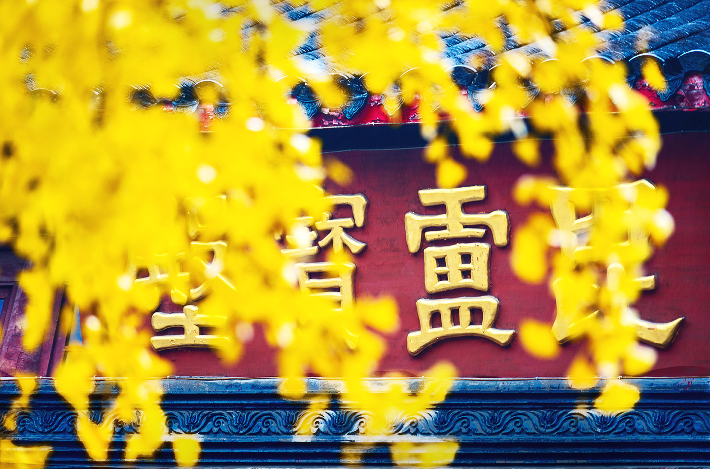 百年老酒坊