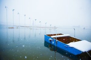 湖中飞雪