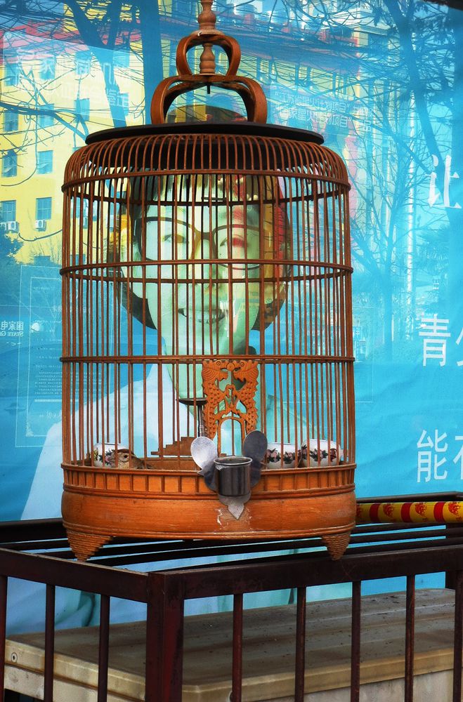 百年老酒坊