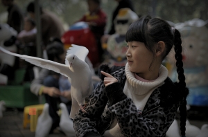 随拍：喂鸽子女孩