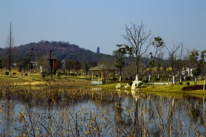 赭山印象