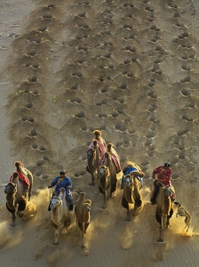 驰骋沙海