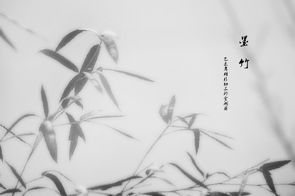 百年老酒坊
