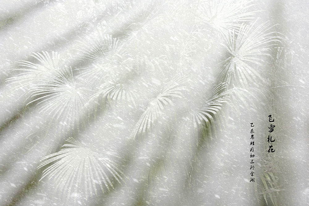 百年老酒坊