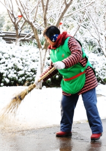 雪中情