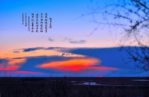扎龙印象