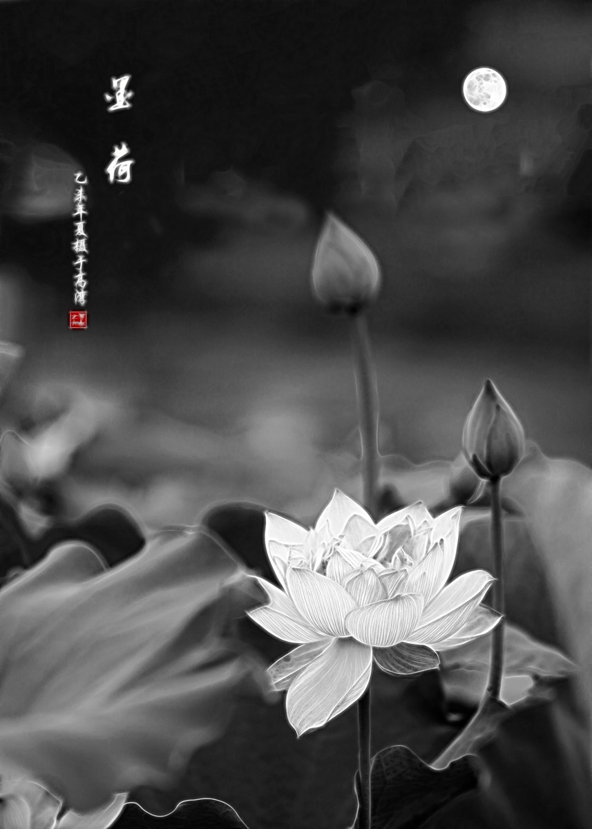 百年老酒坊