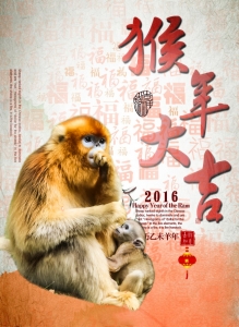 祝中国工业摄影网越办...