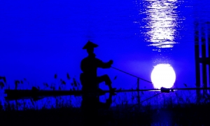 水中捞月
