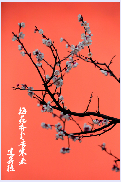 百年老酒坊