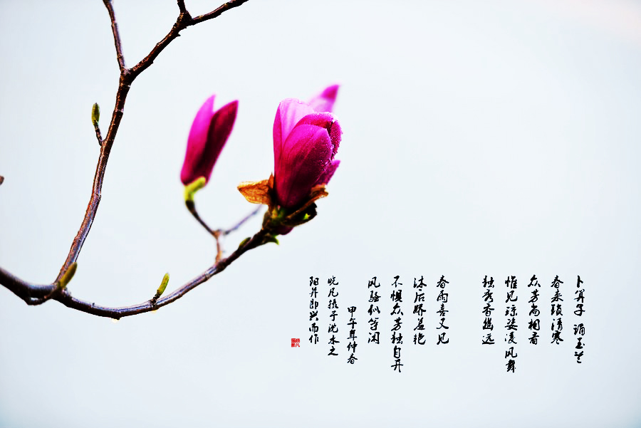 百年老酒坊