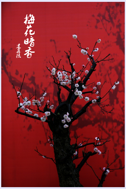 百年老酒坊