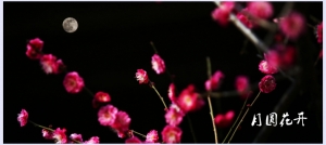 月圆花开