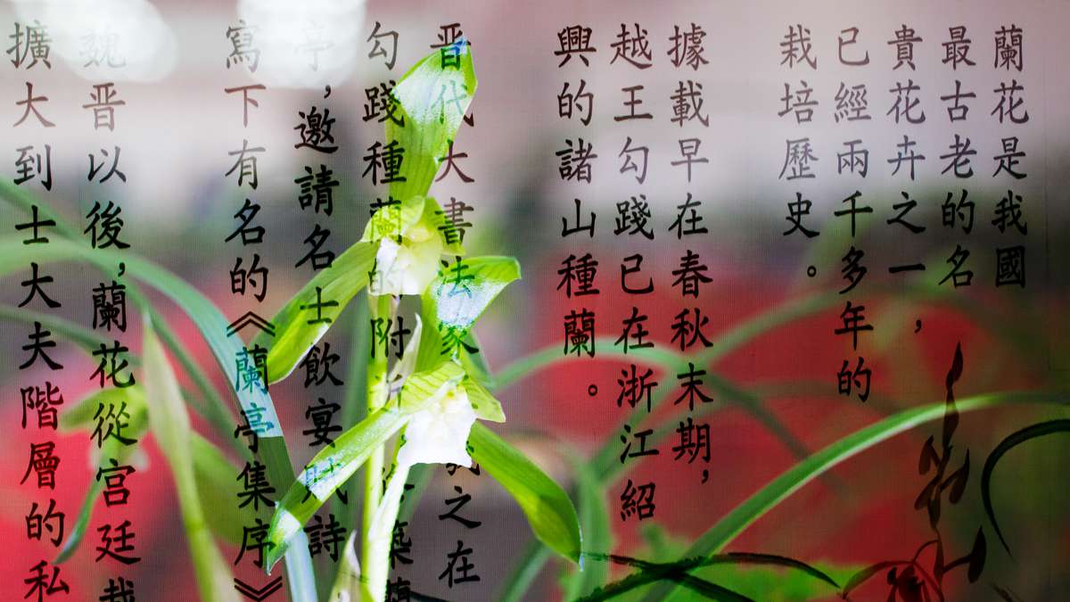 百年老酒坊