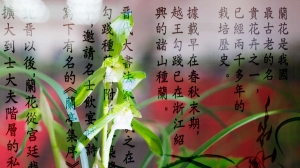 兰花赋