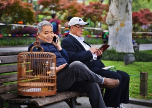 老有所乐