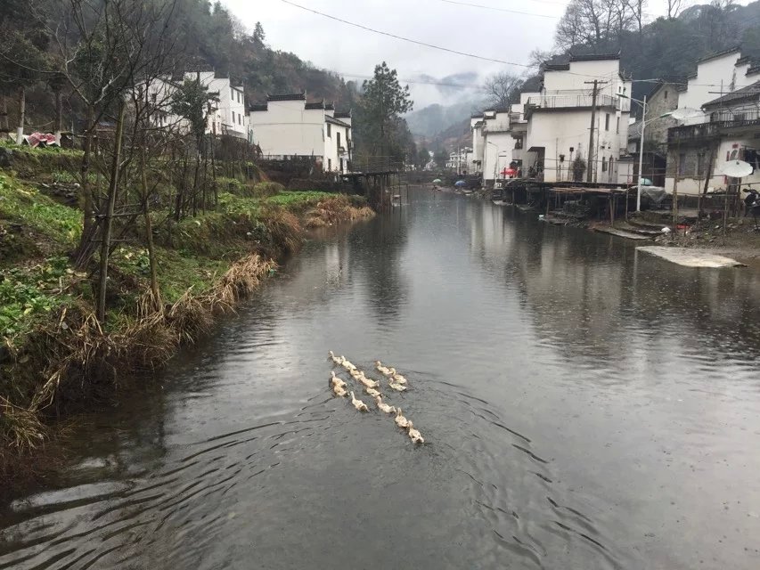 百年老酒坊