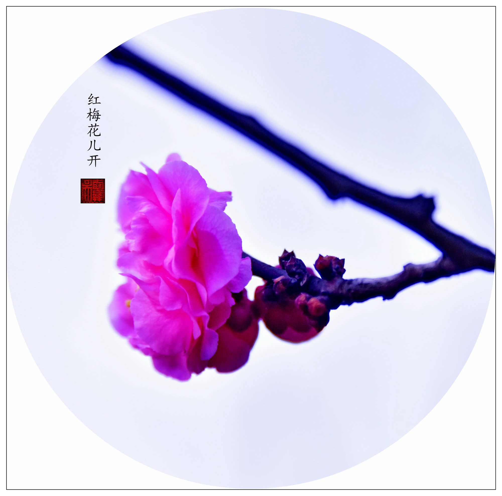 百年老酒坊
