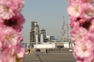 花样工厂