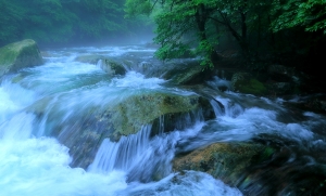 清枫听泉