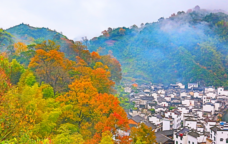 百年老酒坊