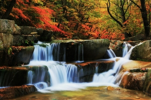 枫谷水韵