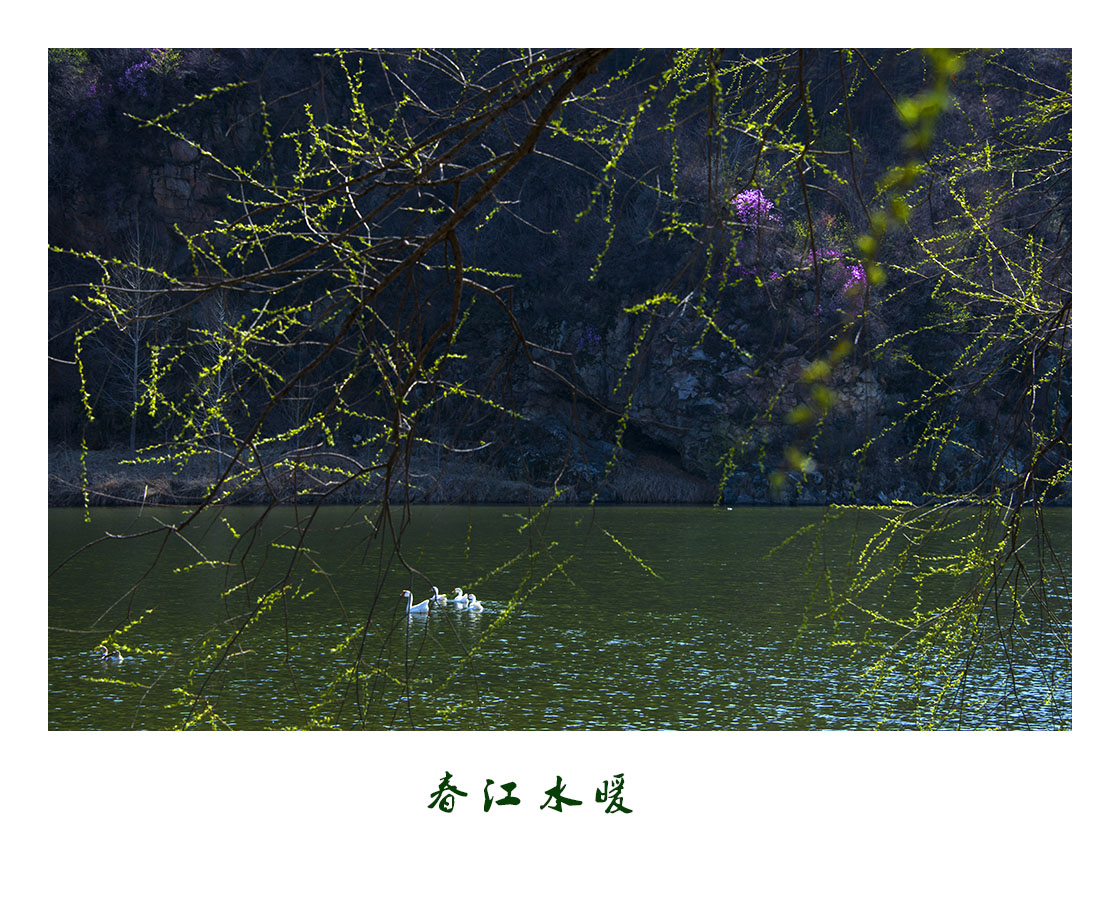 百年老酒坊