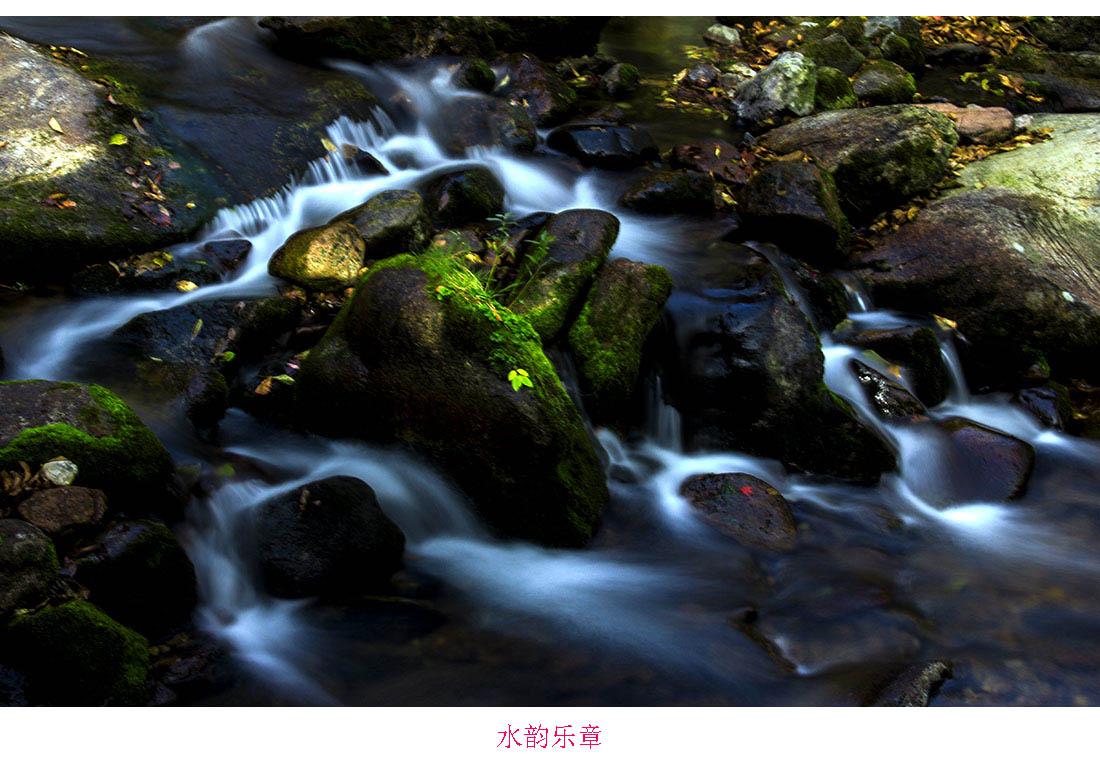 百年老酒坊