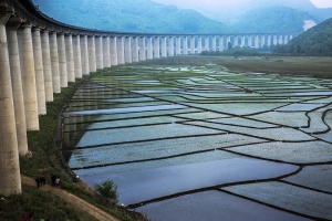 家乡新建桥